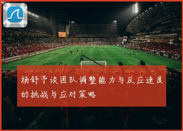 杨舒予谈团队调整能力与反应速度的挑战与应对策略
